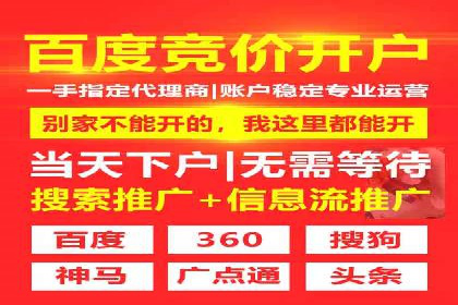 行业案例研究：SEM竞价托管的策略与挑战